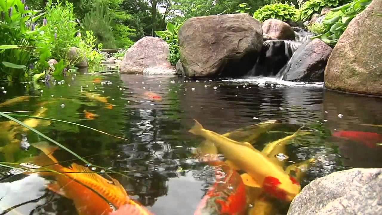 Hồ Cá Koi - 004 - Ghế đá công viên tại Huế - giá rẻ chất lượng ...