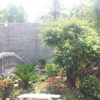 Mẫu sân vườn 004