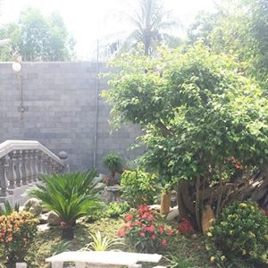 Mẫu sân vườn 004