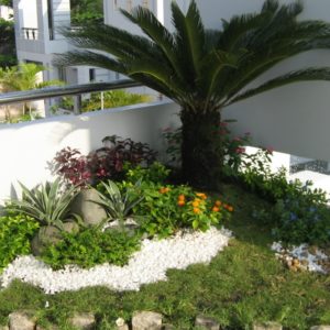 Mẫu sân vườn 005